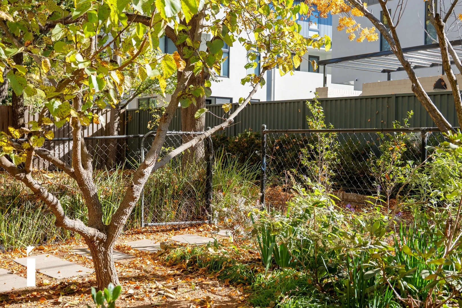 Photo of 2/12 Condamine Street, Turner ACT 2612