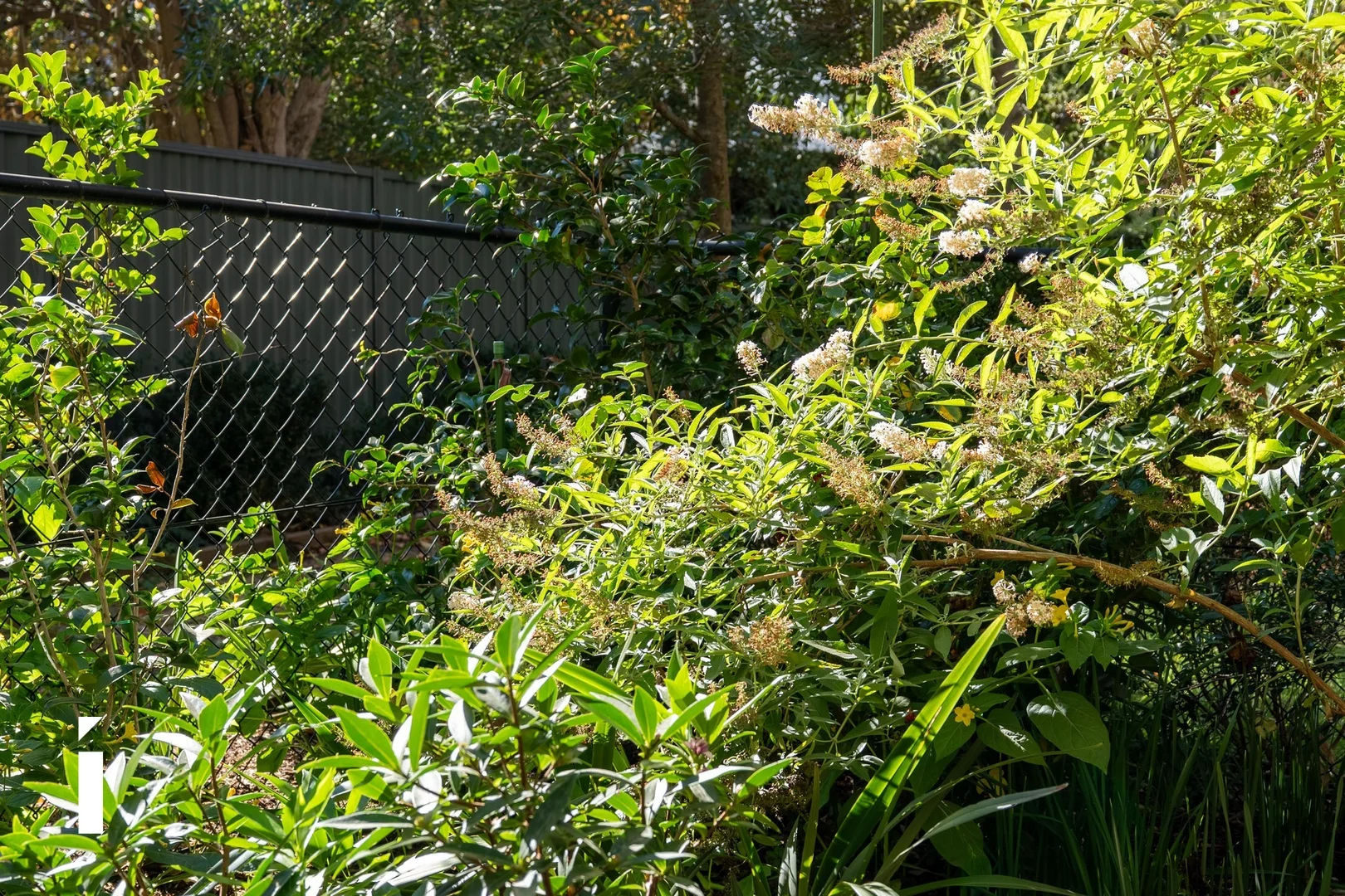 Photo of 2/12 Condamine Street, Turner ACT 2612
