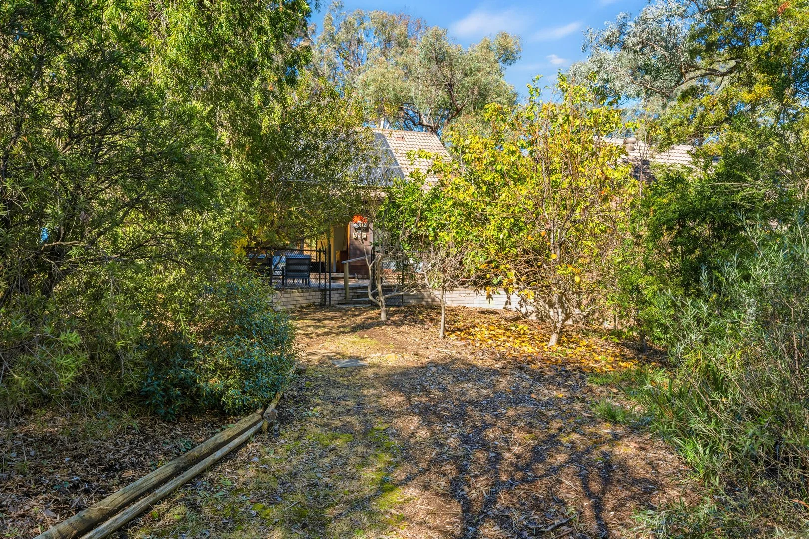 Photo of 3 Wybalena Grove, Cook ACT 2614