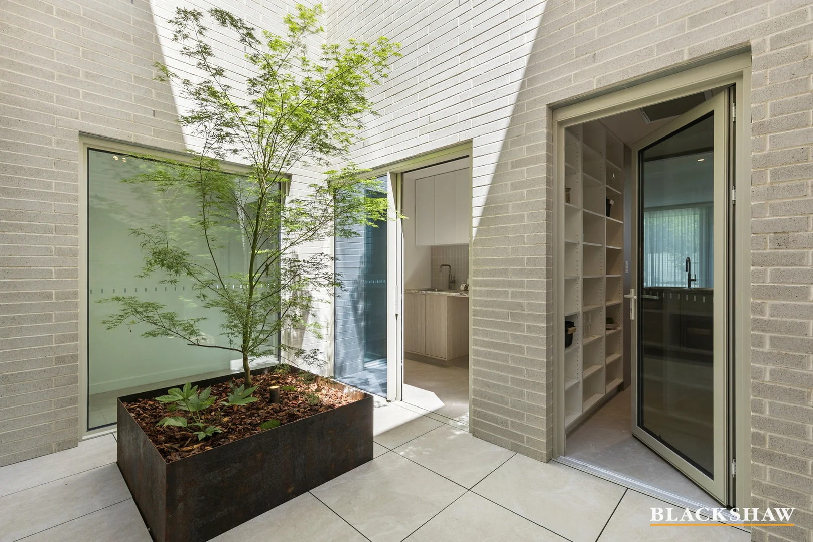 Photo of 1/8 McCulloch Street, Curtin ACT 2605