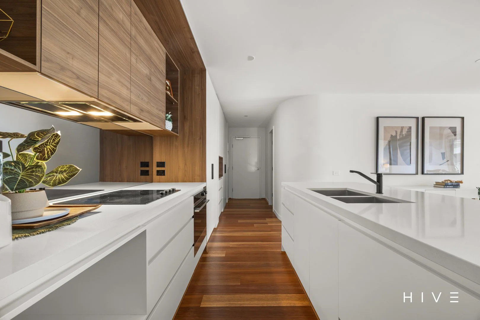 Photo of 78/217 Northbourne Avenue, Turner ACT 2612