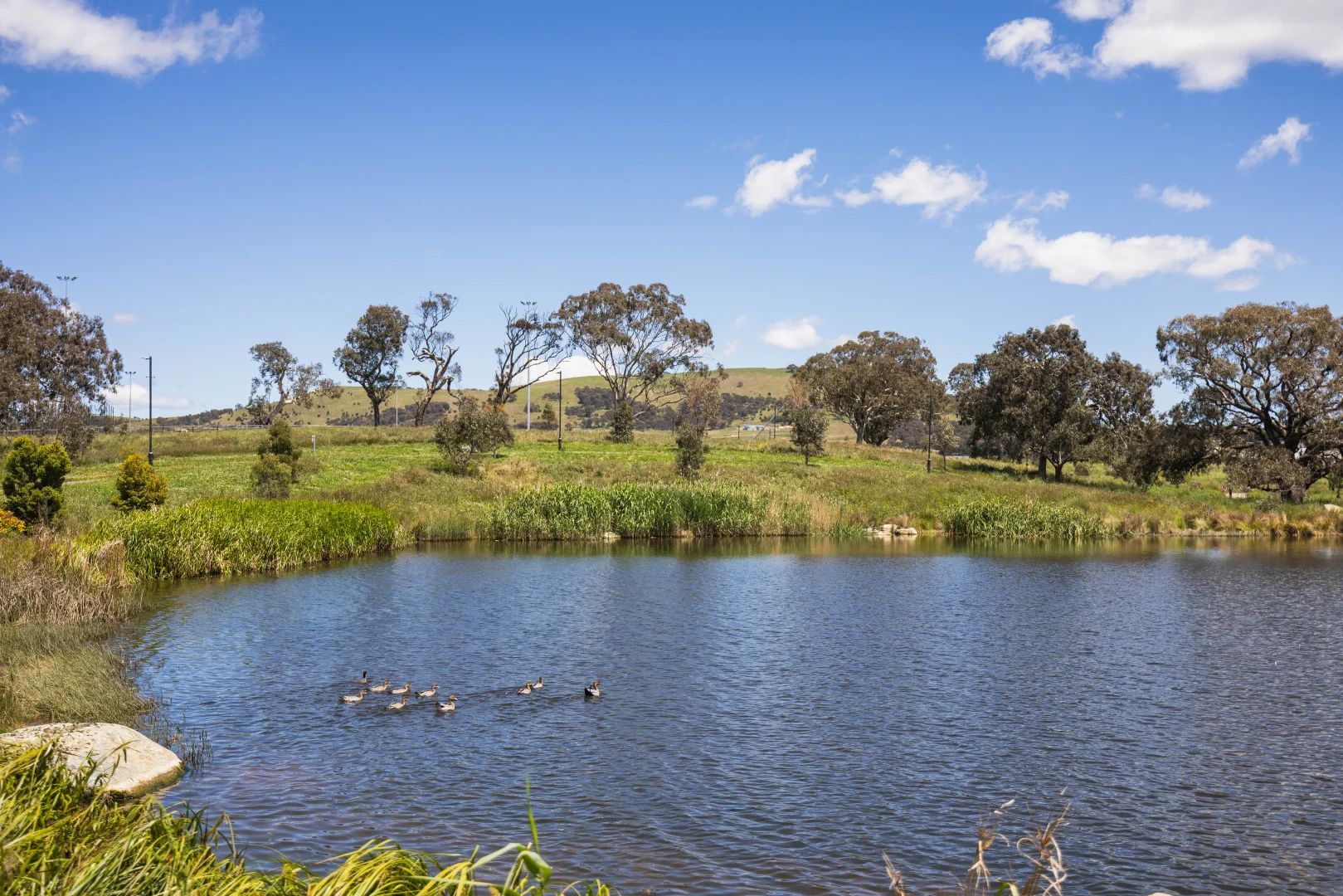 Photo of 14 Edwin Oribin Street, Taylor ACT 2913