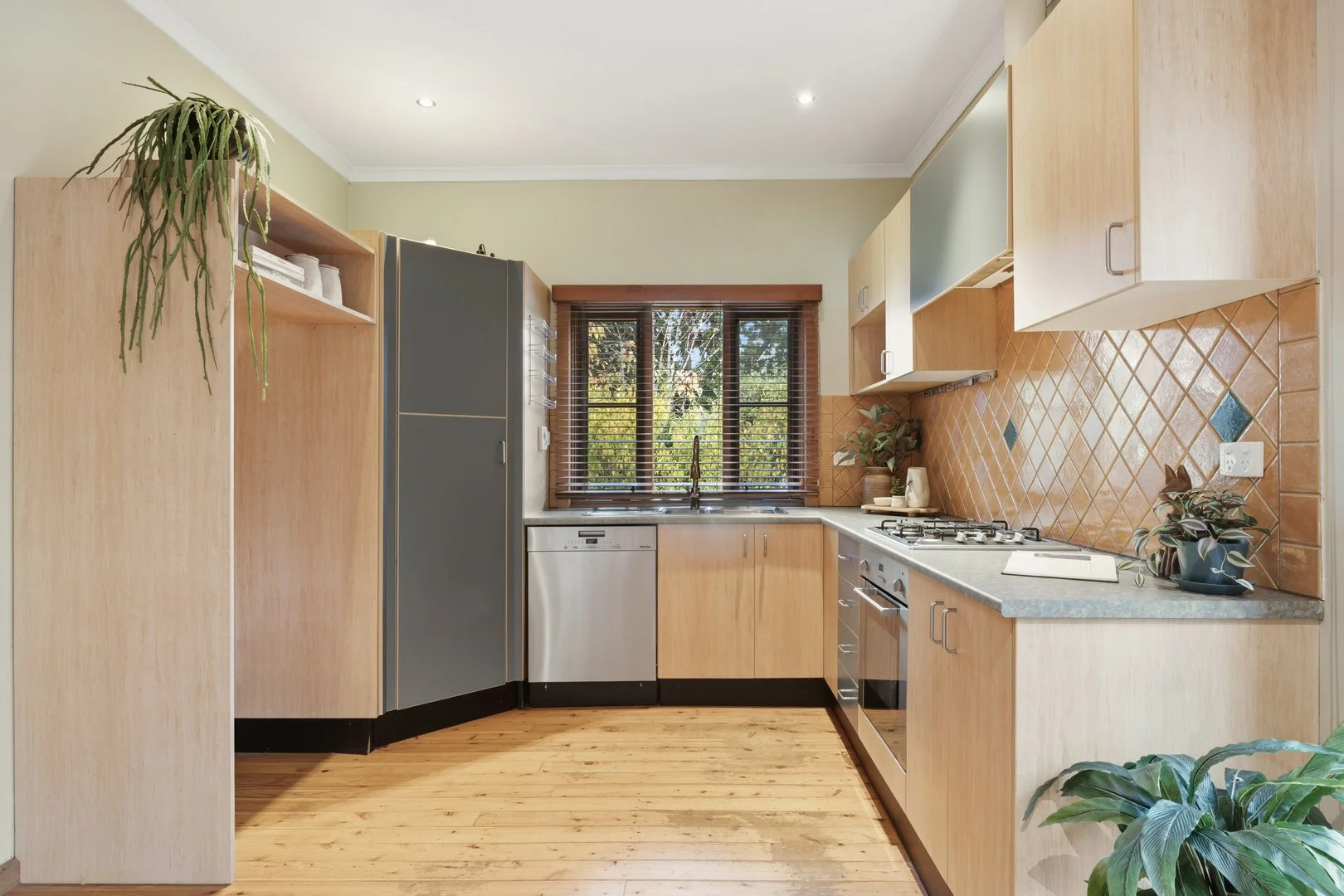 Photo of 2 Finn Street, O'Connor ACT 2602