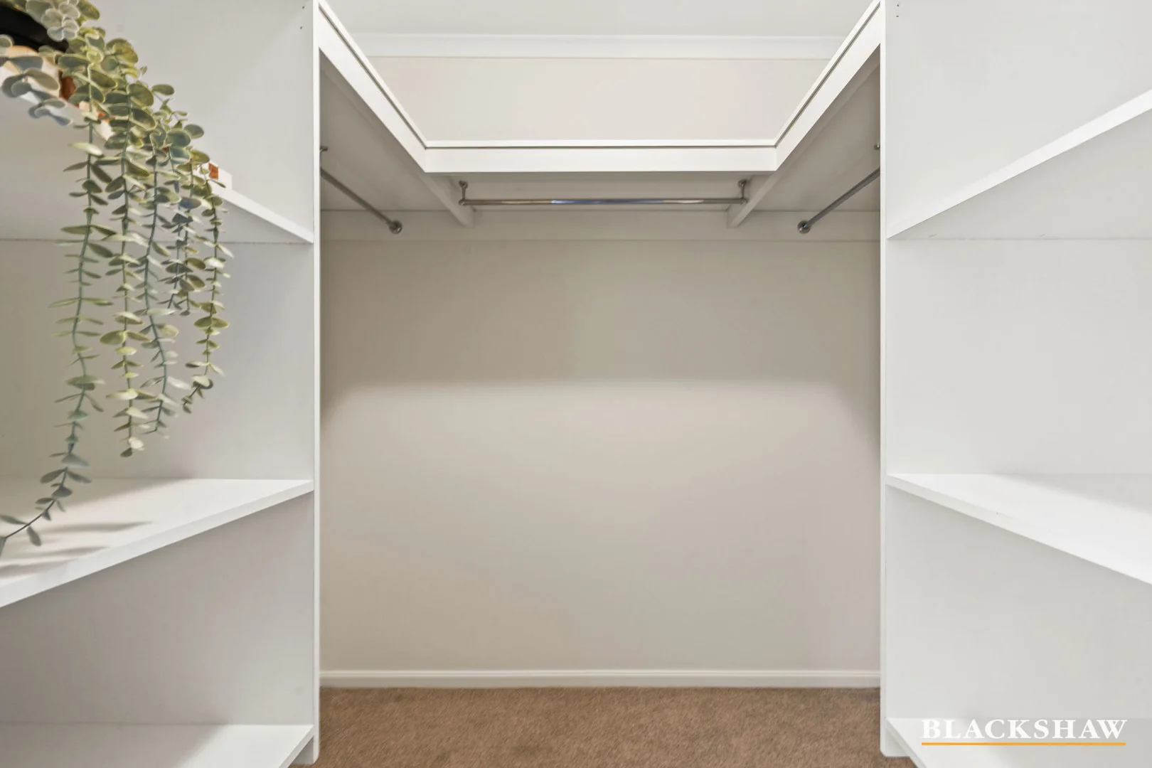 Photo of 6 Hohnen Street, Bruce ACT 2617
