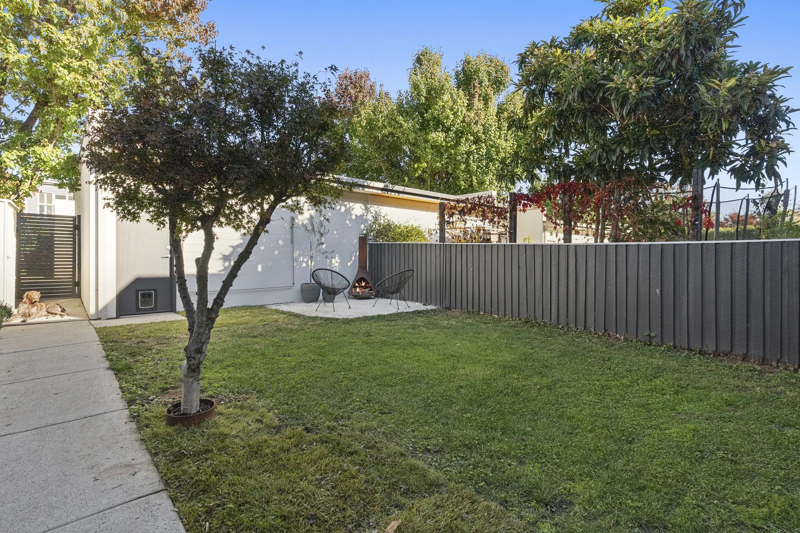 Photo of 36 Aspinall Street, Watson ACT 2602