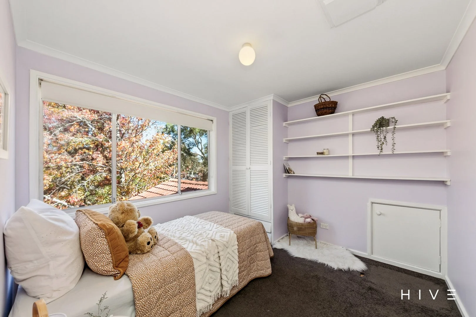 Photo of 22 Selwyn Street, Hackett ACT 2602