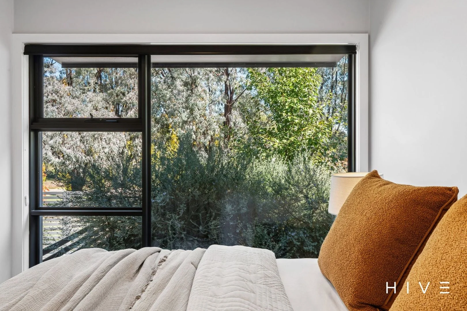 Photo of 3/8 Powlett Street, Kaleen ACT 2617