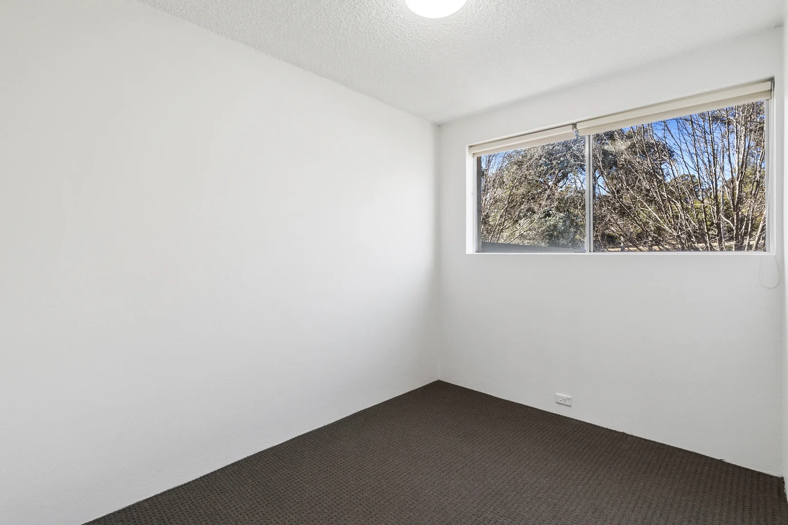 Photo of 56/4 Wilkins Street, Mawson ACT 2607