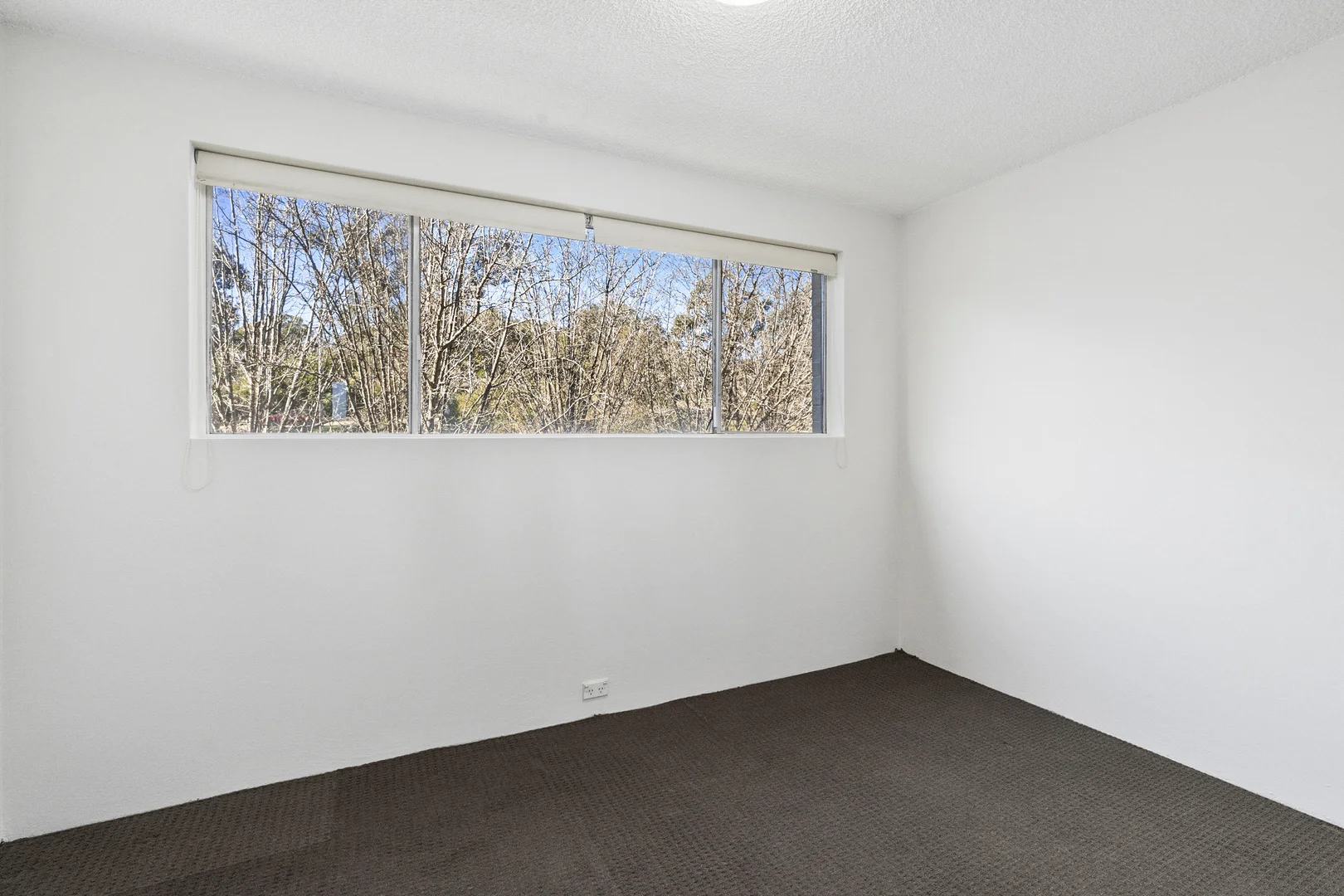 Photo of 56/4 Wilkins Street, Mawson ACT 2607