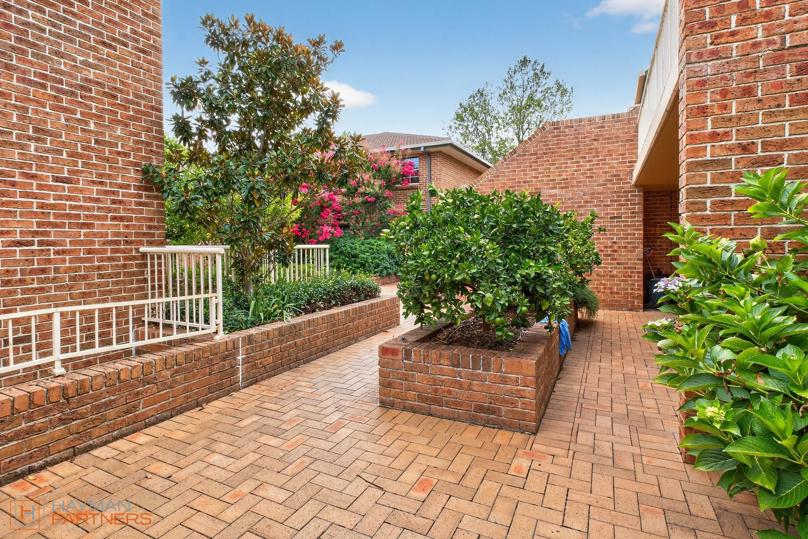 Photo of 17/1 Waddell Place, Curtin ACT 2605