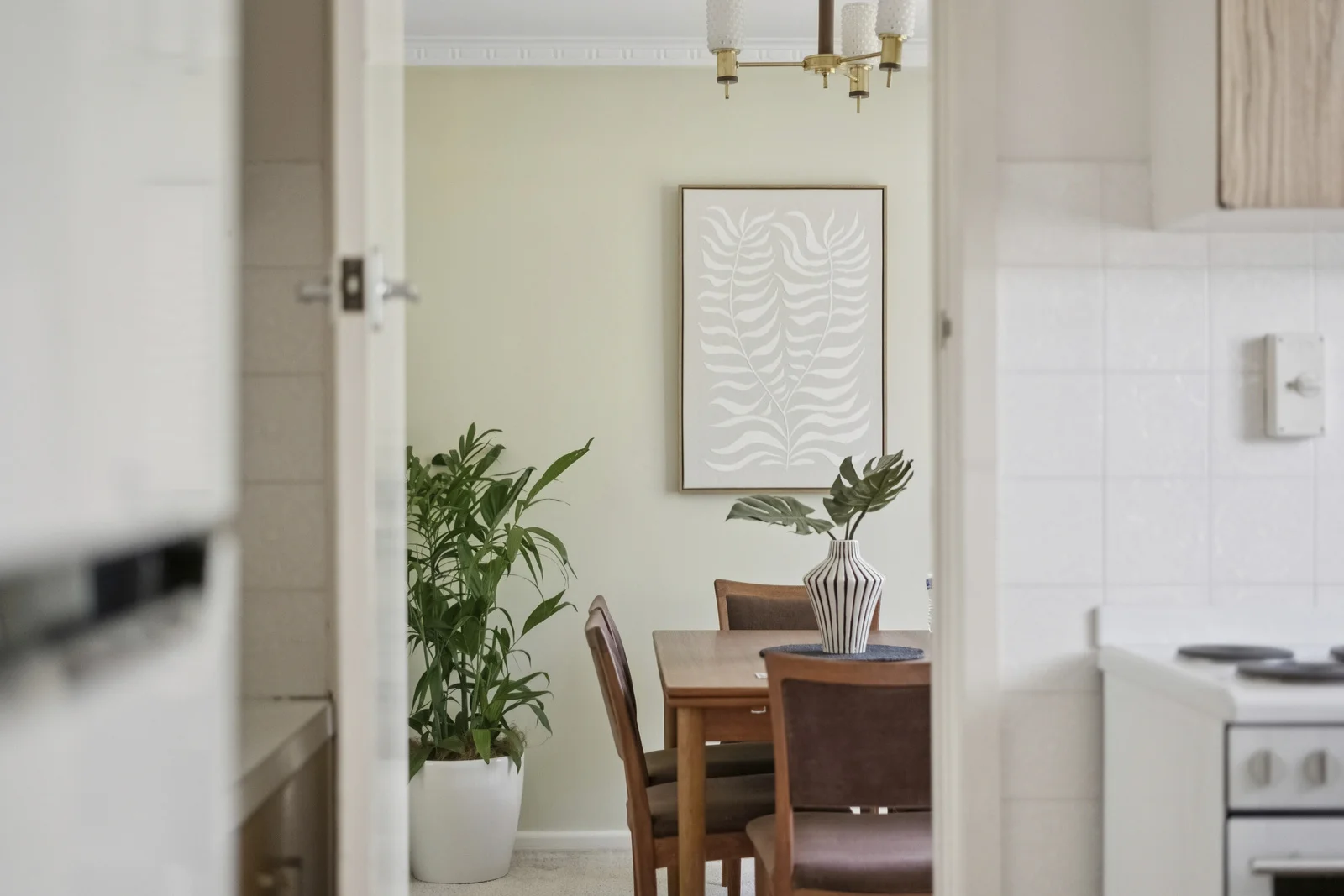 Photo of 3 Fairfax Street, O'Connor ACT 2602